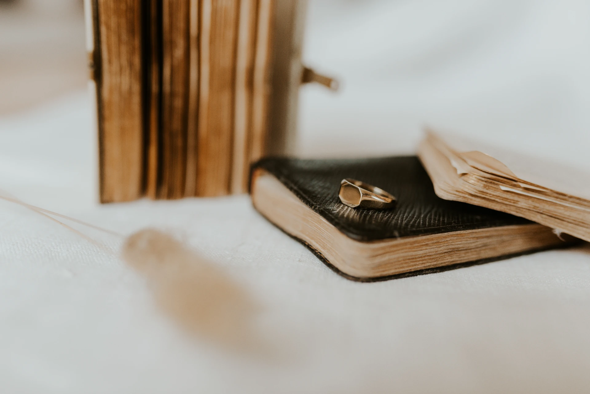 Charakteristika und mehr ··· Larissa Seidl